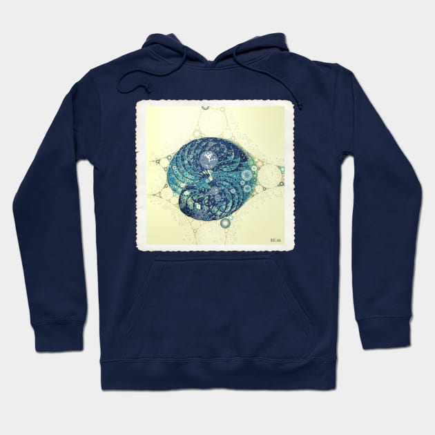 Blue Nautilus Hoodie by barbaralbs